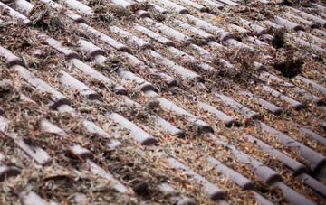 Sibton roof cleaning companies