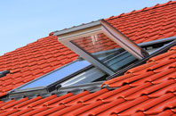 Sibton roof window